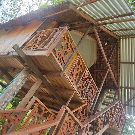 Hotel Karupa Amazonas Leticia Kültér fotó