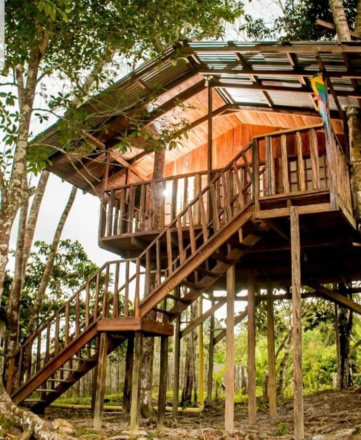 Hotel Karupa Amazonas Leticia Kültér fotó