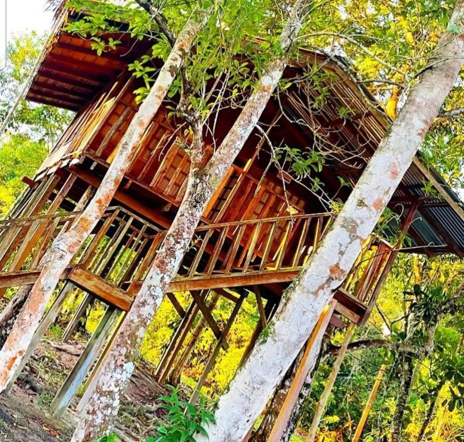 Hotel Karupa Amazonas Leticia Kültér fotó