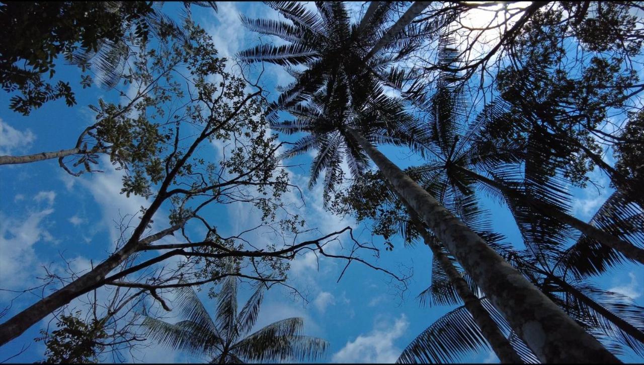 Hotel Karupa Amazonas Leticia Kültér fotó