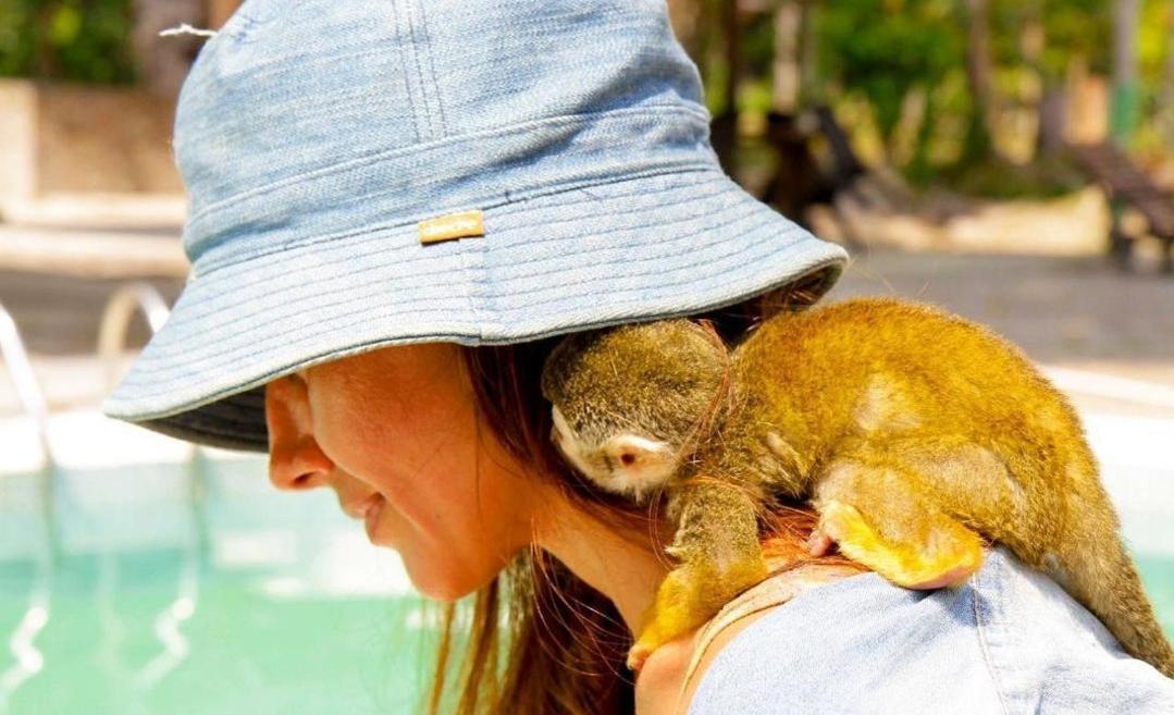 Hotel Karupa Amazonas Leticia Kültér fotó
