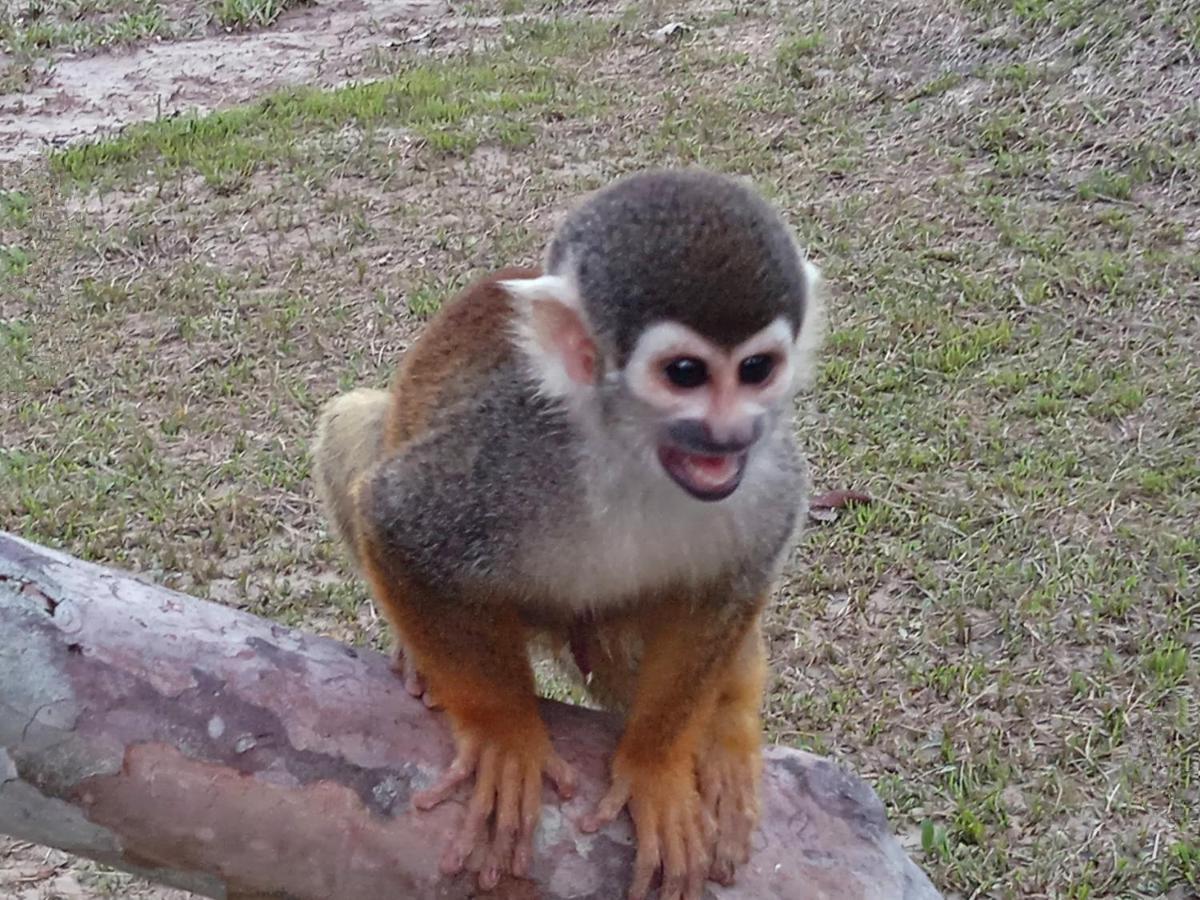 Hotel Karupa Amazonas Leticia Kültér fotó