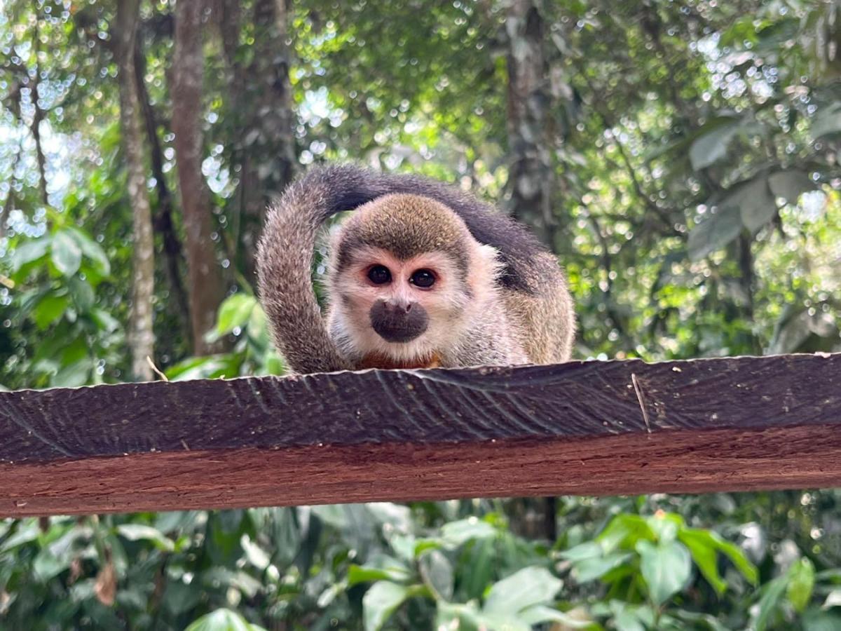 Hotel Karupa Amazonas Leticia Kültér fotó